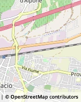 Trasporti San Bonifacio,37047Verona