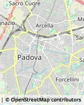 Università ed Istituti Superiori Padova,35139Padova