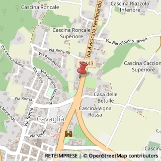 Mappa Via Rondolino, 31, 13881 Cavaglià, Biella (Piemonte)
