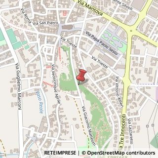 Mappa Via Giacomo Matteotti, 13, 25018 Montichiari, Brescia (Lombardia)