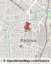 Padova e provincia, ,Padova