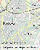 Liquori - Vendita Padova,35137Padova