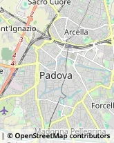 Infermieri ed Assistenza Domiciliare Vigonza,35122Padova