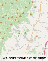 Campeggi, Villaggi Turistici e Ostelli Barbarano Mossano,36021Vicenza