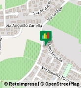 Via Lodigo, 19,37066Sommacampagna