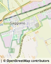 Ristoranti Gaggiano,20094Milano