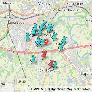 Mappa Viabilità Policlinico Rossi Borgo Roma, 37134 Verona VR, Italia (1.433)