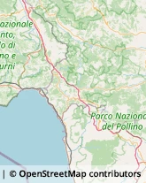 Assicurazioni Tortora,87020Cosenza