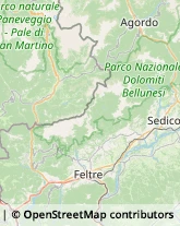 Studi Medici Generici Gosaldo,32020Belluno