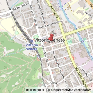 Mappa Via Div. Nino Nannetti, 8, 31029 Vittorio Veneto, Treviso (Veneto)