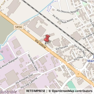 Mappa Via Udine, 24a, 33044 Manzano, Udine (Friuli-Venezia Giulia)
