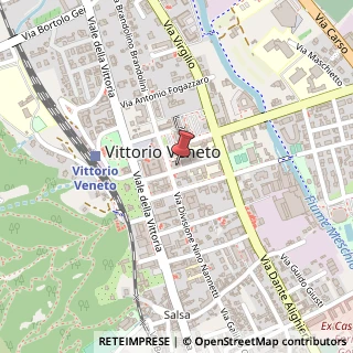Mappa Via Div. Nino Nannetti, 10, 31029 Vittorio Veneto, Treviso (Veneto)