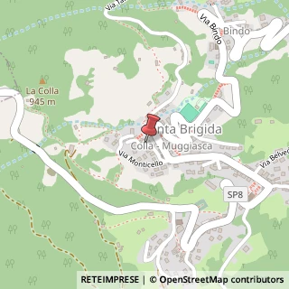 Mappa Via Monticello, 4, 24010 Santa Brigida, Bergamo (Lombardia)