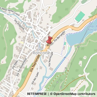 Mappa Via Camp Lonc, 17, 38087 Roncone, Trento (Trentino-Alto Adige)