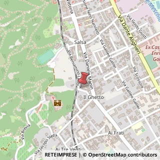 Mappa Via Beniamino Labbi, 86, 31029 Vittorio Veneto, Treviso (Veneto)