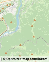 Biciclette - Dettaglio e Riparazione Feltre,32032Belluno