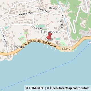 Mappa Via Regina, 24, 22016 Tremezzina, Como (Lombardia)