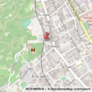 Mappa Via Panfilo Castaldi,  8, 31029 Vittorio Veneto, Treviso (Veneto)