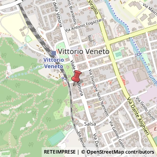 Mappa Viale della Vittoria, 200, 31029 Vittorio Veneto, Treviso (Veneto)