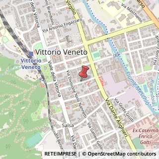 Mappa Via F. Rismondo, 7, 31029 Vittorio Veneto, Treviso (Veneto)
