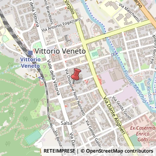 Mappa Via F. Rismondo, 8, 31029 Vittorio Veneto, Treviso (Veneto)