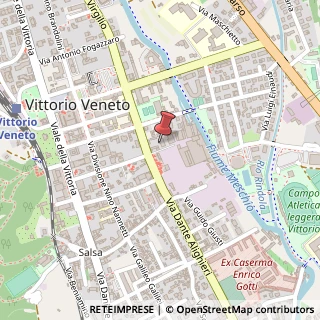 Mappa Via Dante Alighieri, 53, 31029 Vittorio Veneto, Treviso (Veneto)
