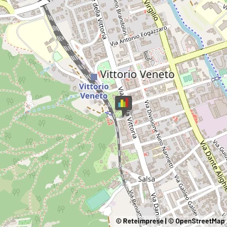 Internet - Servizi Vittorio Veneto,31029Treviso