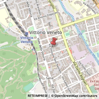 Mappa Via Div. Nino Nannetti, 47, 31029 Vittorio Veneto, Treviso (Veneto)