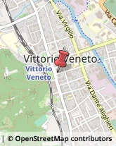 Via Giosuè Carducci, 1,31029Vittorio Veneto
