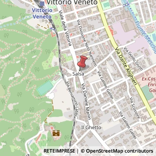 Mappa Viale della Vittoria, 369, 31029 Vittorio Veneto, Treviso (Veneto)