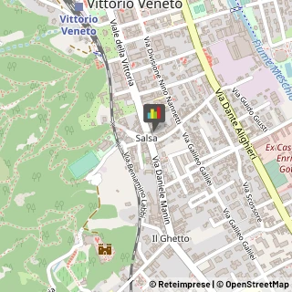 Assicurazioni Vittorio Veneto,31029Treviso