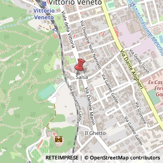 Mappa Piazza San Michele, 29, 31029 Vittorio Veneto, Treviso (Veneto)