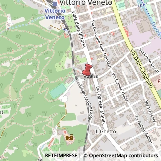 Mappa Piazza San Michele, 17, 31029 Vittorio Veneto, Treviso (Veneto)