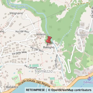 Mappa Via Tomaso Grossi, 3, 22016 Tremezzina, Como (Lombardia)