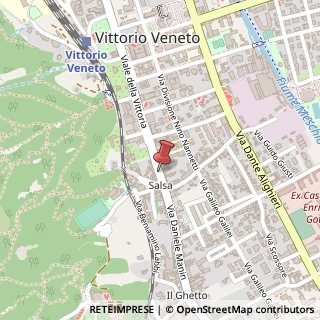 Mappa Viale della Vittoria, 357, 31029 Vittorio Veneto, Treviso (Veneto)