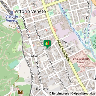 Via Scrizzi, 99,31029Vittorio Veneto