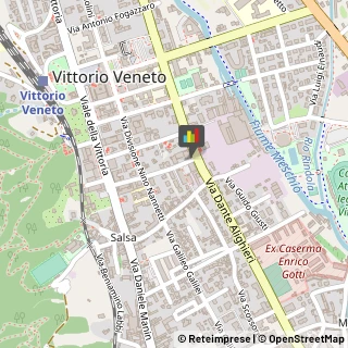 Vernici Auto Vittorio Veneto,31029Treviso