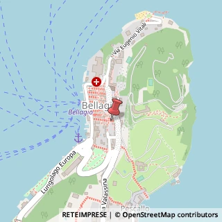 Mappa Via Salita Serbelloni, 39, 22021 Bellagio, Como (Lombardia)