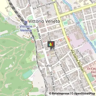 Massaggi Vittorio Veneto,31029Treviso