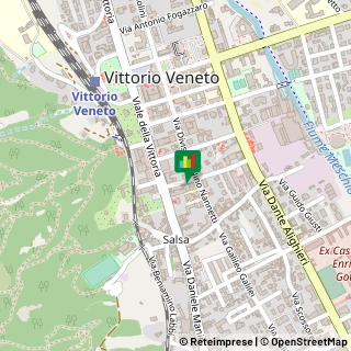 Mappa Viale della Vittoria, 31029 Vittorio Veneto, Treviso (Veneto)