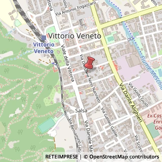 Mappa Via Divisione Nannetti Nord, 4, 31029 Vittorio Veneto, Treviso (Veneto)