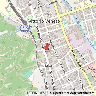 Mappa Viale della Vittoria, 247, 31029 Vittorio Veneto, Treviso (Veneto)