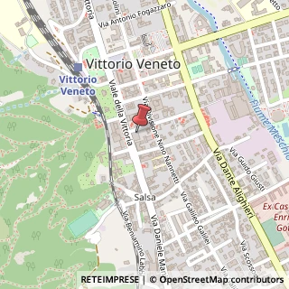 Mappa Via F. Rismondo, 2, 31029 Vittorio Veneto, Treviso (Veneto)