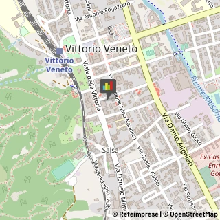 Notai Vittorio Veneto,31029Treviso