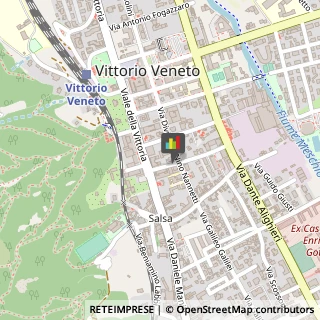 Agenzie di Animazione e Spettacolo Vittorio Veneto,31029Treviso