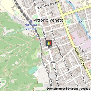 Ortopedia e Traumatologia - Medici Specialisti Vittorio Veneto,31029Treviso