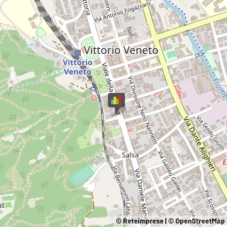 Istituti Finanziari Vittorio Veneto,31029Treviso