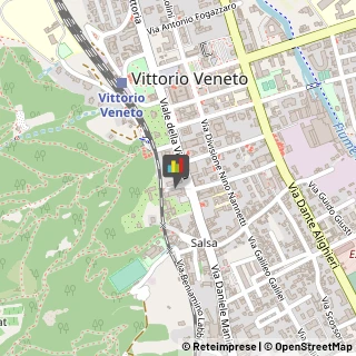 Istituti di Bellezza Vittorio Veneto,31029Treviso