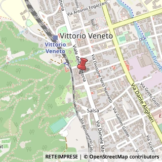 Mappa Viale della Vittoria, 206, 31029 Vittorio Veneto, Treviso (Veneto)