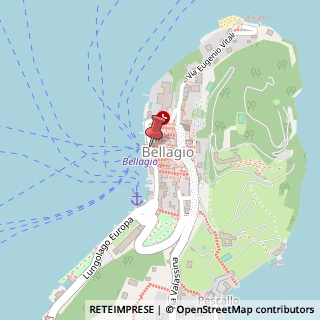 Mappa Piazza Giuseppe Mazzini, 22, 22021 Bellagio, Como (Lombardia)